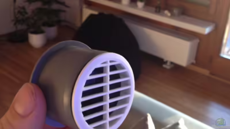 Besatz im Aquarium Becken 26703 von F.I.E.T.E. (33)