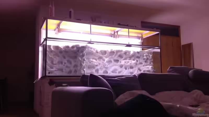 Besatz im Aquarium Becken 26703 von F.I.E.T.E. (37)