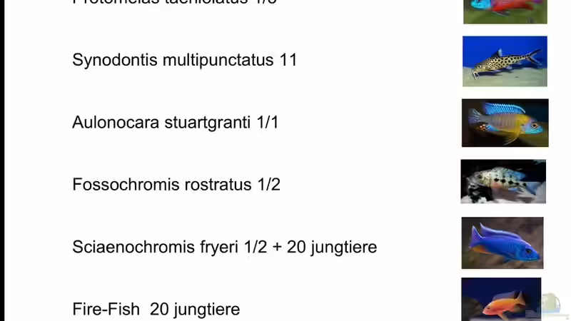 Besatz im Aquarium Becken 4654 von Marko Geißler (10)