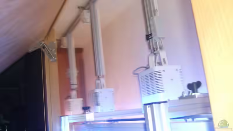 Besatz im Aquarium Becken 5147 von Kai Wichert (8)