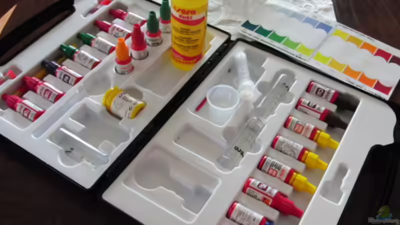 Besatz im Aquarium Becken 636 von Felix Derschang (3) (16)