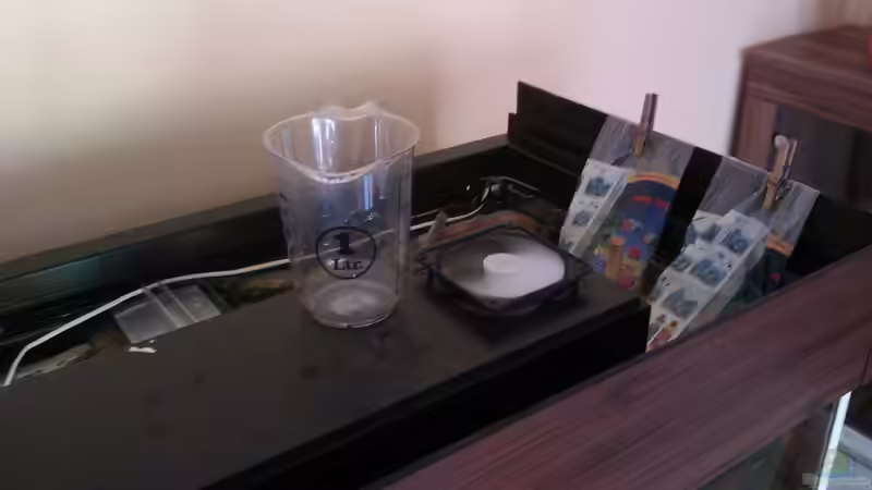 Besatz im Aquarium Gesellschafftsbecken Südamerika(nur noch als Bsp.) von Biffty (111)