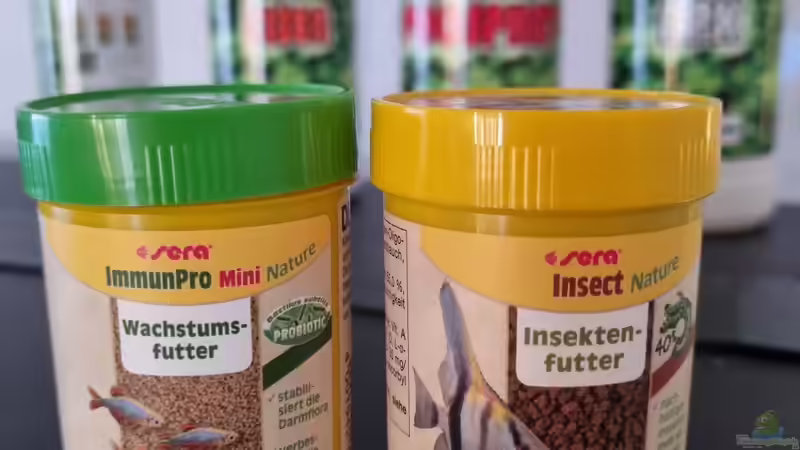 Besatz im Aquarium Juwel Rio 180 von Peter Peter (108)