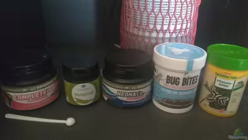 Besatz im Aquarium kleines Schwarzwasser von CzudemP (29)