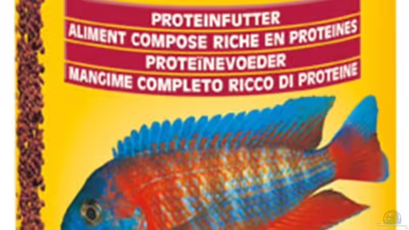 Besatz im Aquarium Malawi african sea or &quot;Der Mühe Lohn&quot; von Thomas u. Gabriele P. (76)