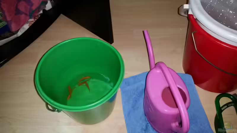 Besatz im Aquarium Malawi Juwel Trigon 350 von Gunnar2060 (60)