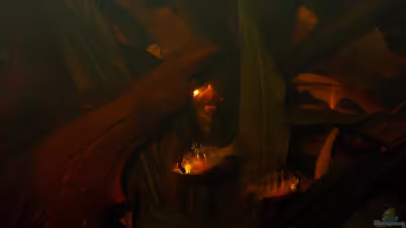 Besatz im Aquarium Some Tea Colored Water von Jabbery (10)