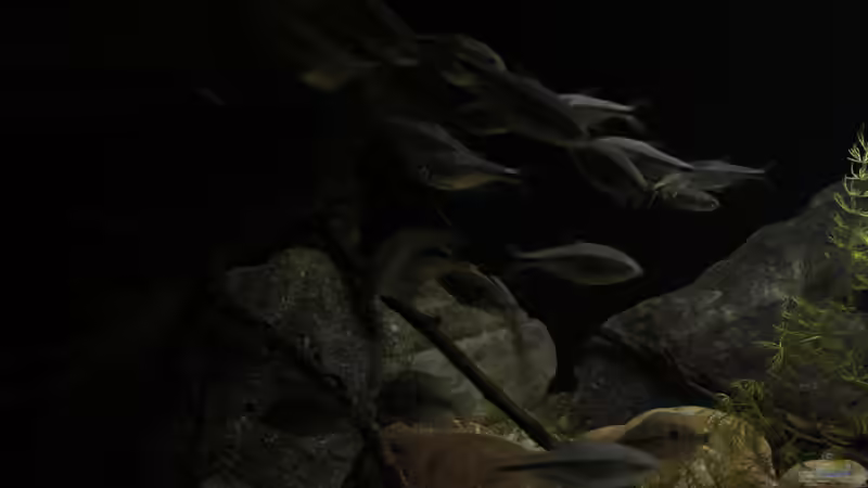 Besatz im Aquarium Sopa De Pescado von Julien Preuß (16)