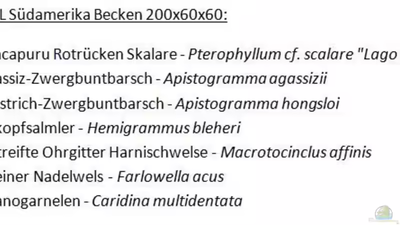 Besatz im Aquarium South Afrika Dream Scape von MalawiMartin (9)