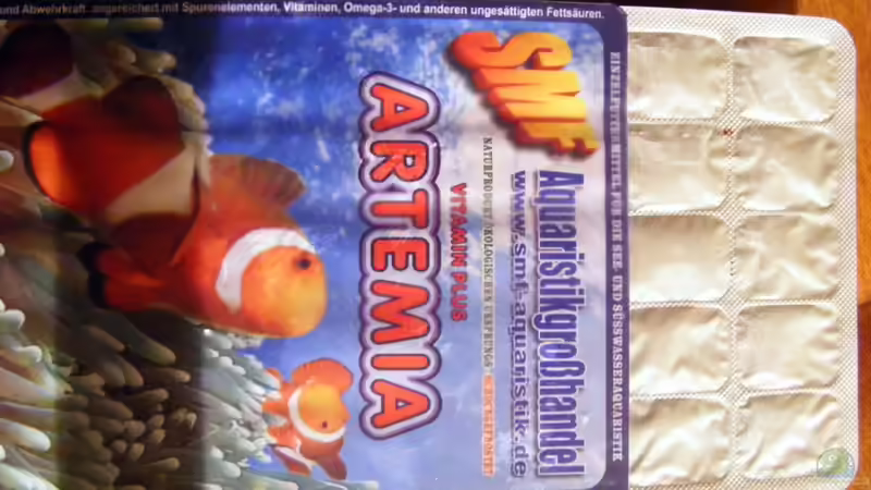 Besatz im Aquarium Wasserfall-Biotop(nur noch als Beispiel) von Falk (34)