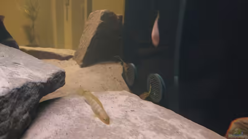 Besatzung / Bodenabsaugung von Tim Gleichmann (15)