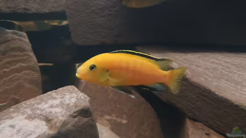 Besatzung von Tim Gleichmann (14)