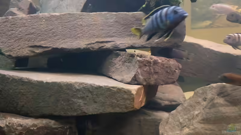 Besatzung (Wer bin ich?) von Tim Gleichmann (13)