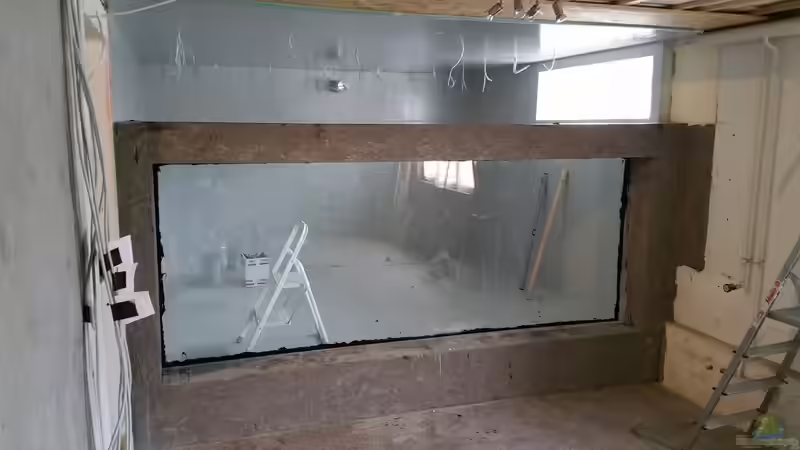 Beschichtung fertig und Scheibe drin( 19mm),Danke an Bernhard Kionka der das Projekt von Hayabusa (20)