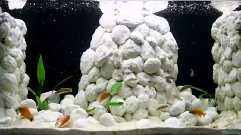 Besser als Fernsehen im 16:9 Format von Markus Tratschitt (1)