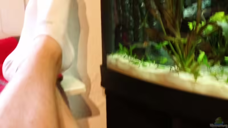 Besser als TV ;) von Gunnar2060 (66)