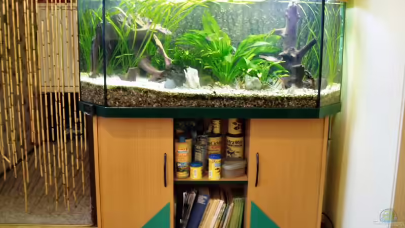 Besseres Foto kommt noch