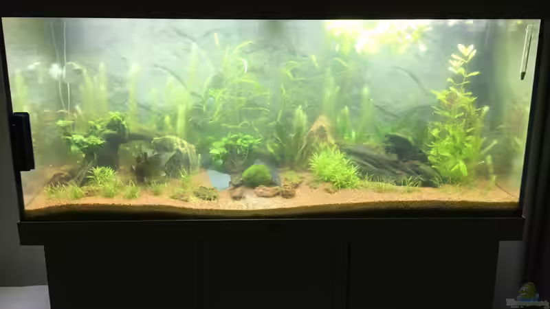 Besserung in Sicht  von Chris Bert (18)