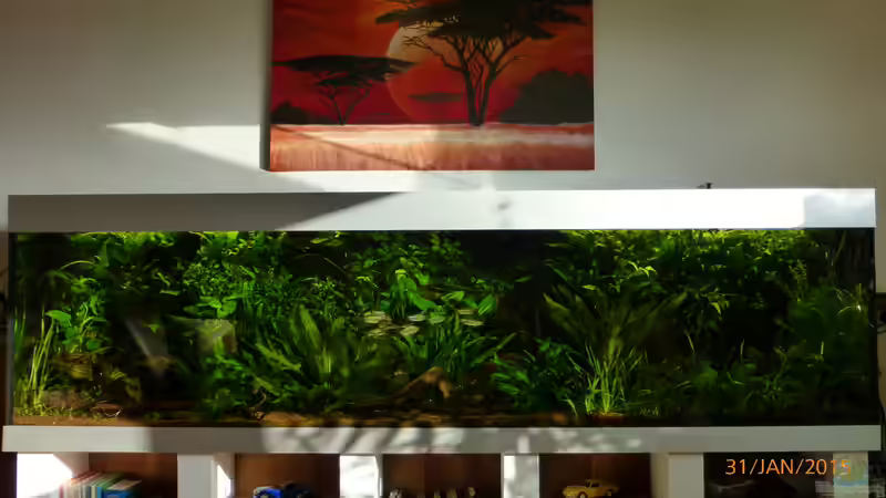 Best of two worlds von Blackwater (1)