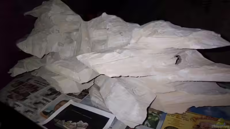 Bestandsaufname nach Herstellung von J.Liebold (9)