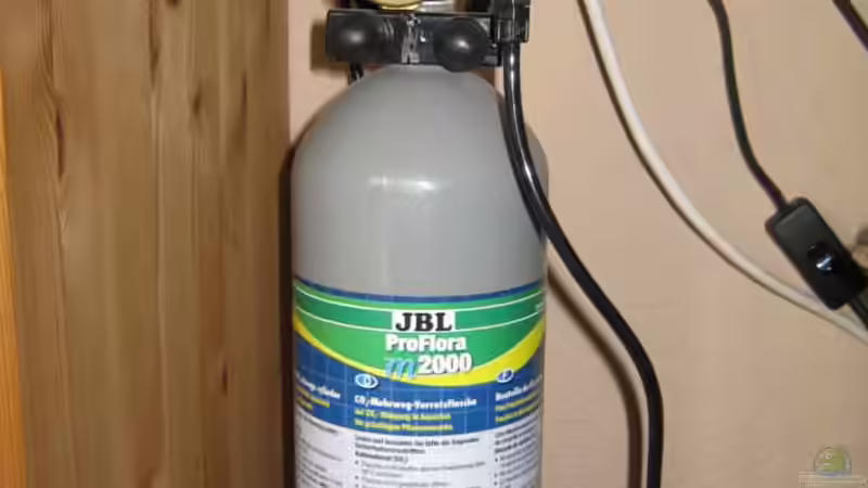 Bestens... Sogar noch Druck drauf :) von pekro (18)