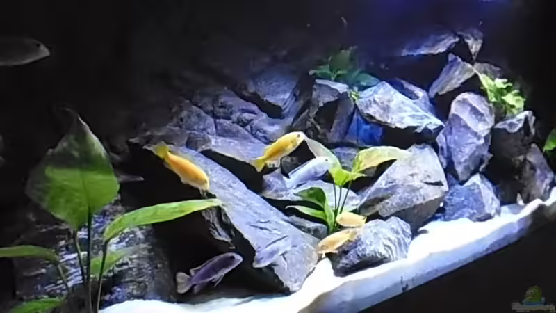 Bestzt kurz nach dem Einzug 28.01.2014 von Benjamin Schmider (19)