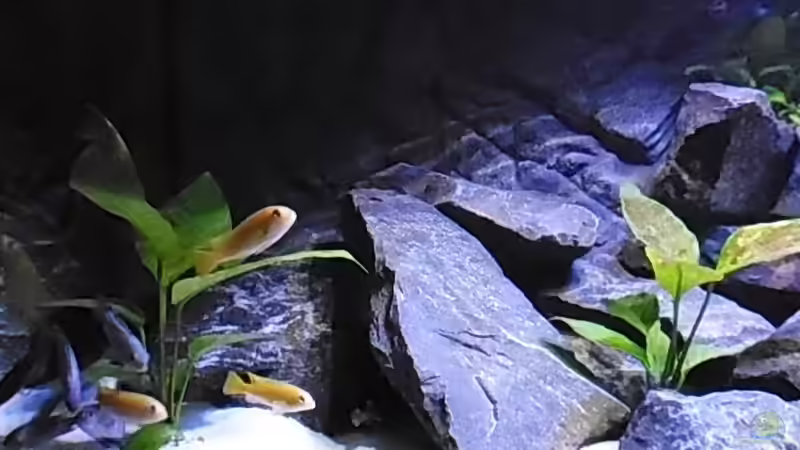 Bestzt kurz nach dem Einzug 28.01.2014 von Benjamin Schmider (22)