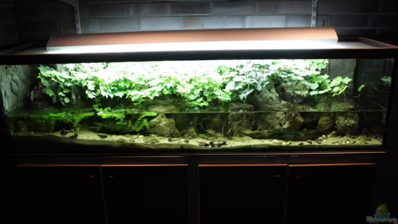 Besuch des Aquariums im Kölner Zoo