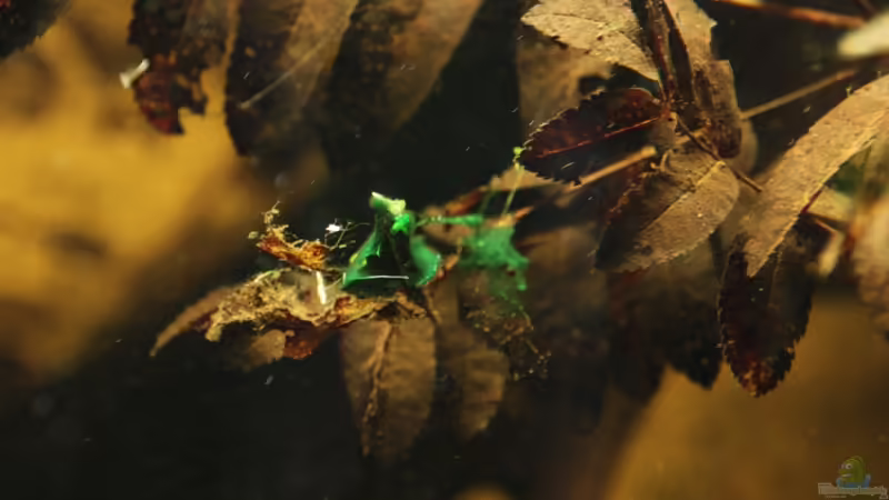 Besuch des Aquariums im Kölner Zoo