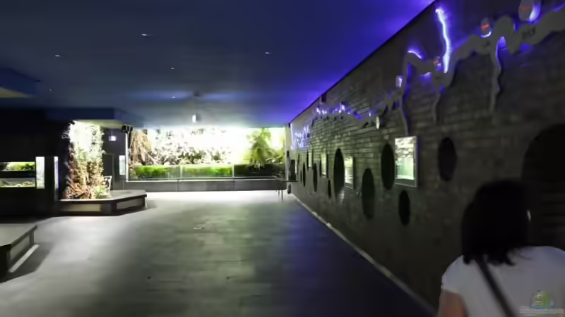 Besuch des Aquariums im Kölner Zoo