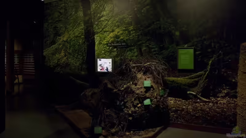 Besuch des Müritzeum in Waren Müritz