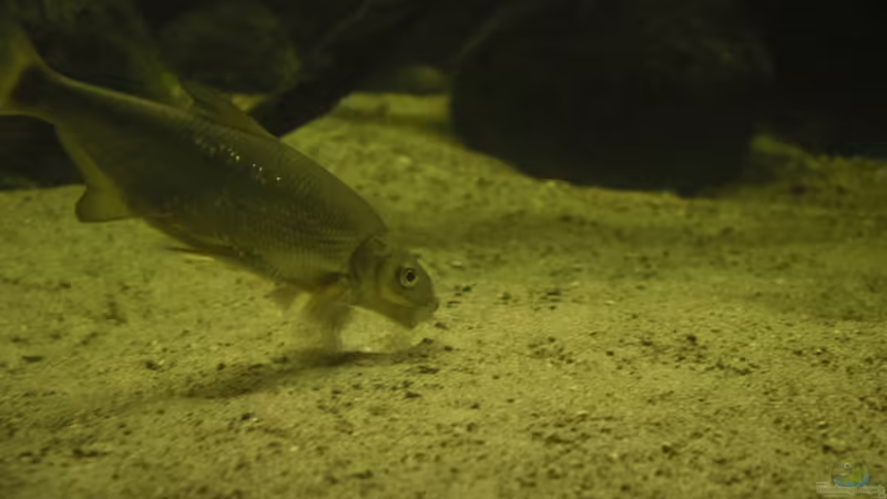 Besuch des Müritzeum in Waren Müritz
