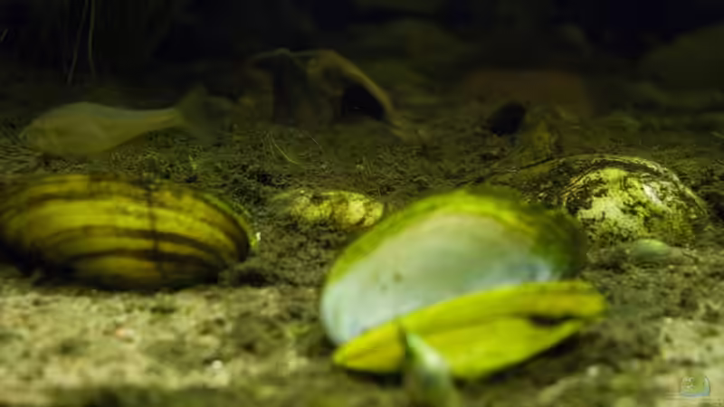 Besuch des Müritzeum in Waren Müritz