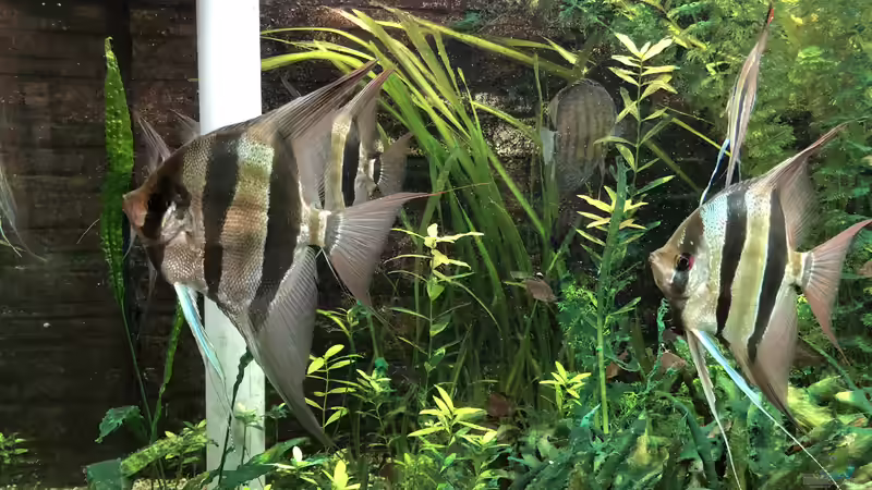 Besuch im Haus des Meeres in Wien