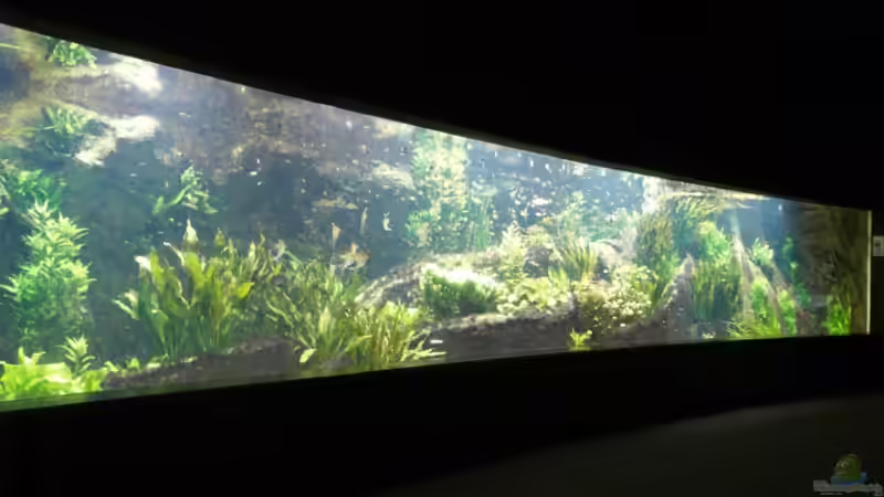 Besuch im Tropenaquarium Hagenbeck