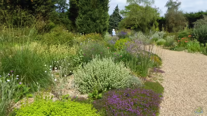 Beth Chatto - Die Pionierin des standortgerechten Gärtnerns
