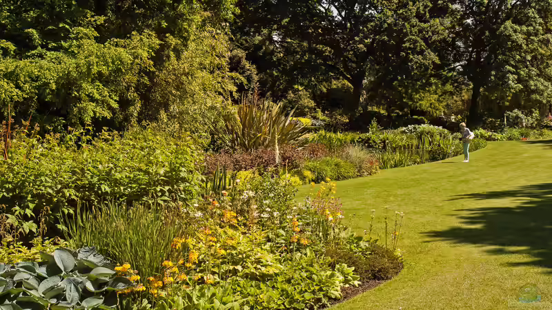Beth Chatto - Die Pionierin des standortgerechten Gärtnerns