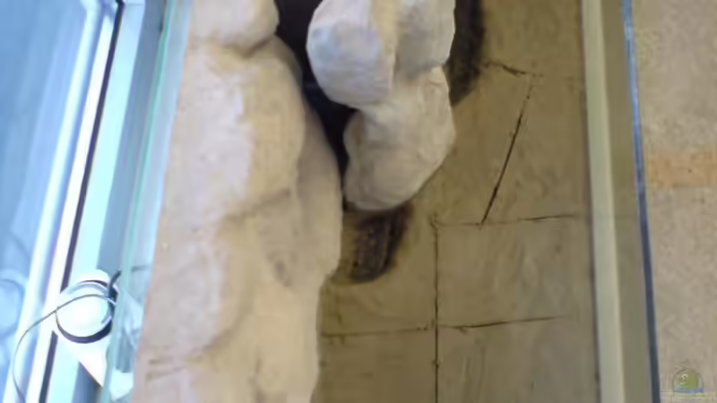 Betonboden mit Pflanzmulden und Dehnungsfugen von timme (8)