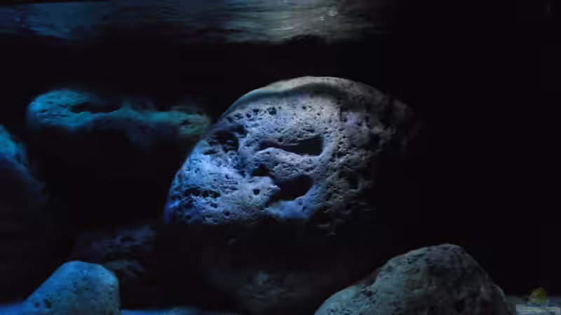 Bewegung Wasseroberfläche... von MichaB (19)