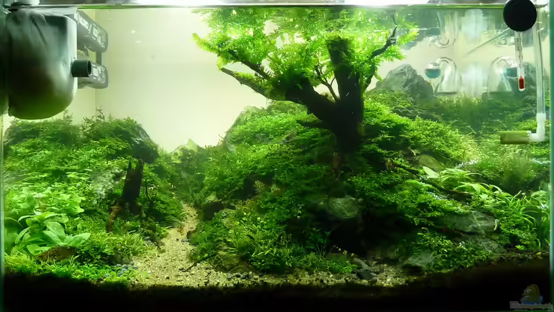 Beweisfoto von -serok- (25)