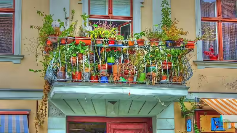 Bienen- und hummelfreundliche Balkonpflanzen: So gestaltest du einen lebendigen und nachhaltigen Balkon