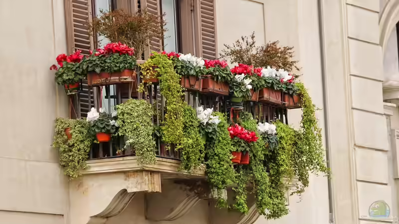Bienen- und hummelfreundliche Balkonpflanzen: So gestaltest du einen lebendigen und nachhaltigen Balkon