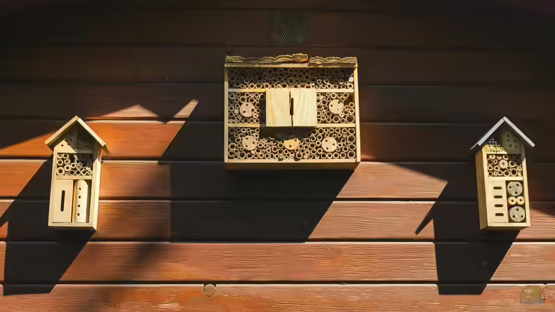 Bienenhotel im Garten - Lebensraum für Wildbienen schaffen und Biodiversität fördern