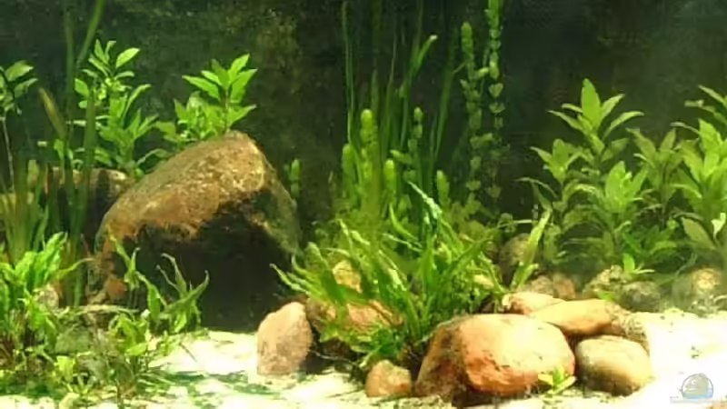 Big Stone von Jari Grünig (2)