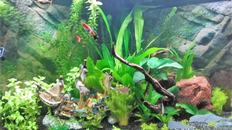 Bild 05.04.2018 von Balou 2013 (20)