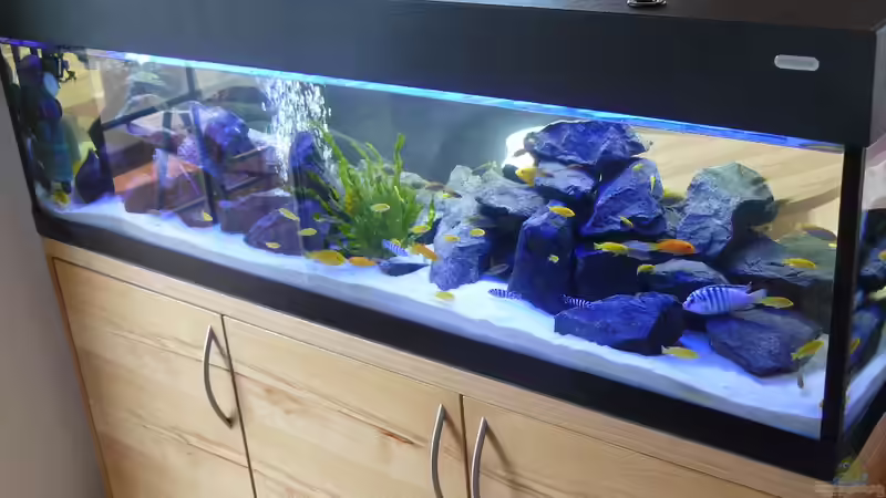 Bild 1 von Dominik Jerg (2)