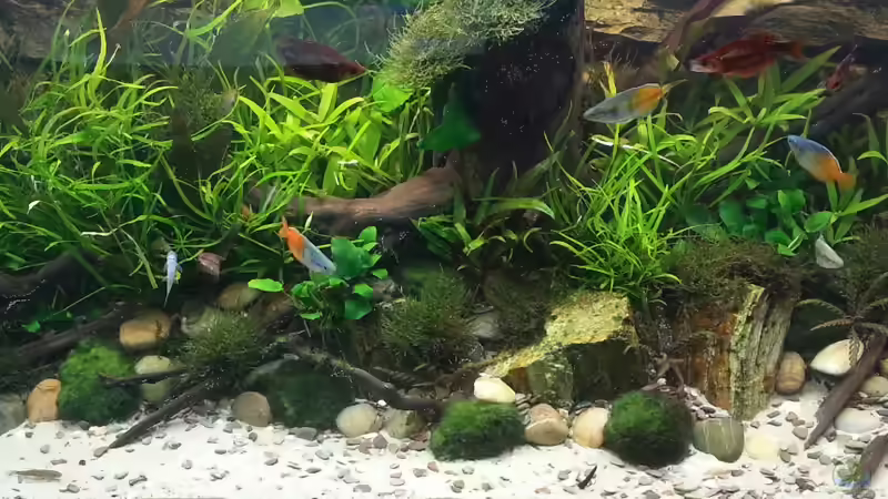 Bild 1 von Marcel Reiter (1)