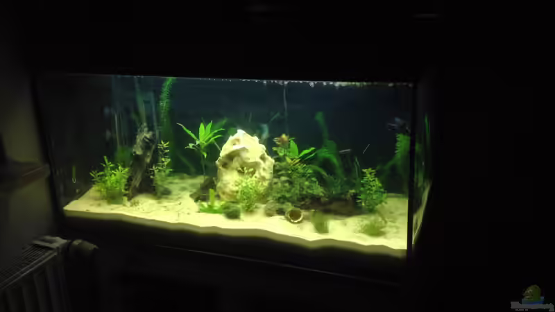 Bild_1 von Sebastian Hodel (1)