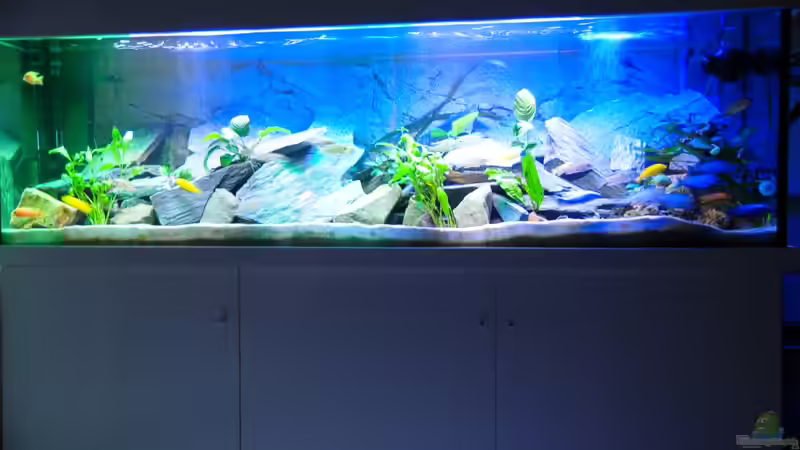 Bild 10 Blitz von Wolfgang Ihlo (5)