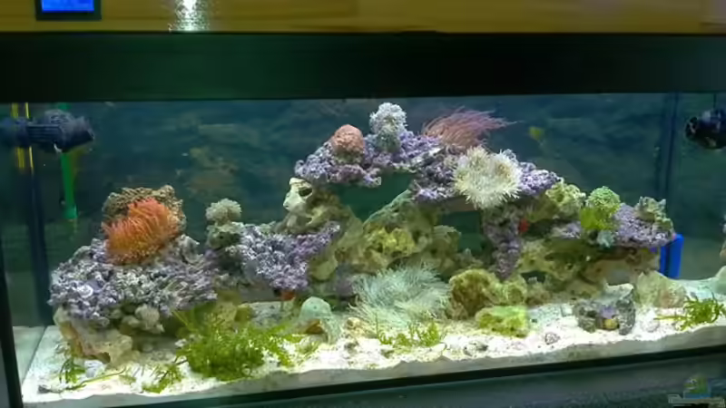 Bild 12.08.2012  von Dirk Schäfer (5)